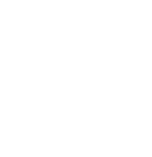 Downtown Jackson Partners