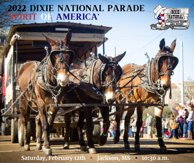 Dixie National Rodeo Parade Downtown Jackson Partners