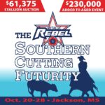 The Metallic Rebel Southern Cutting Horse Futurity Show
