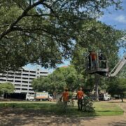 SPRUCING UP SMITH PARK