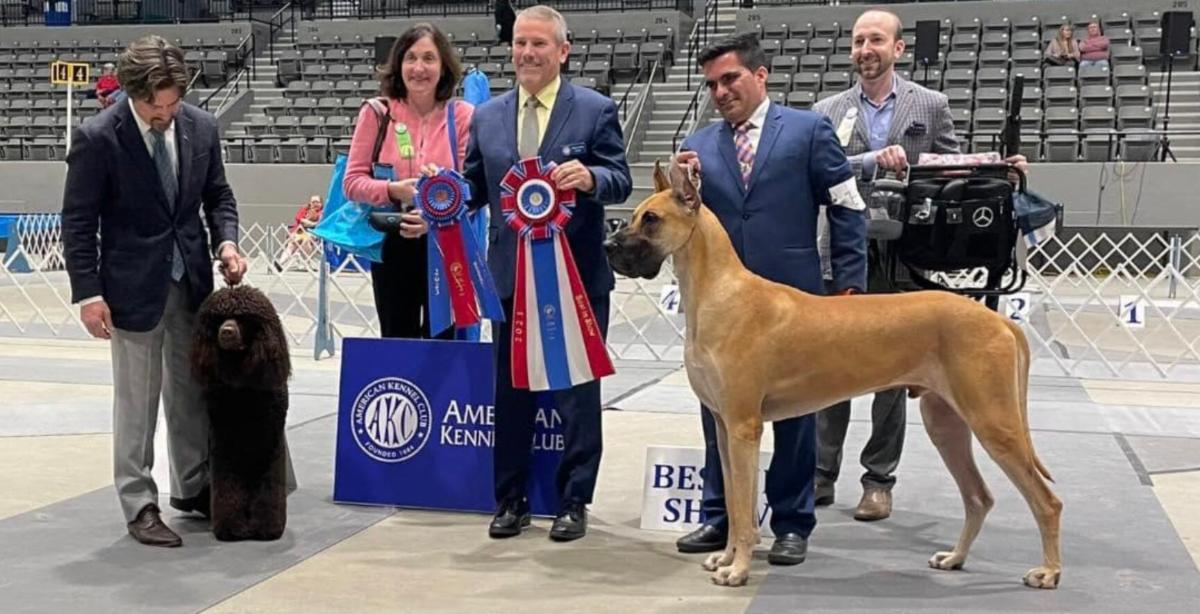 2025 Magnolia Classic Dog Show