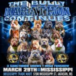 The Bully Marathon Continues BRC GLOBAL